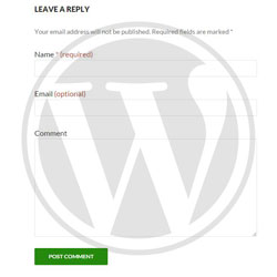 wordpress-comment-form-making-while-leaving-name-required